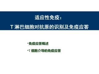 T细胞介导的细胞免疫应答总结