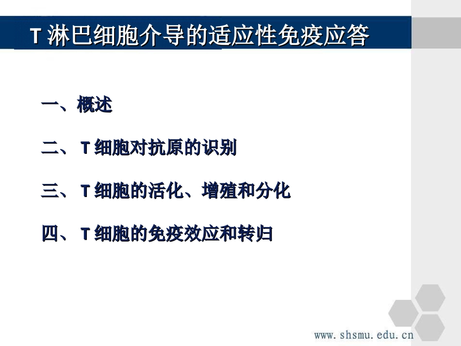 T细胞免疫应答_第2页