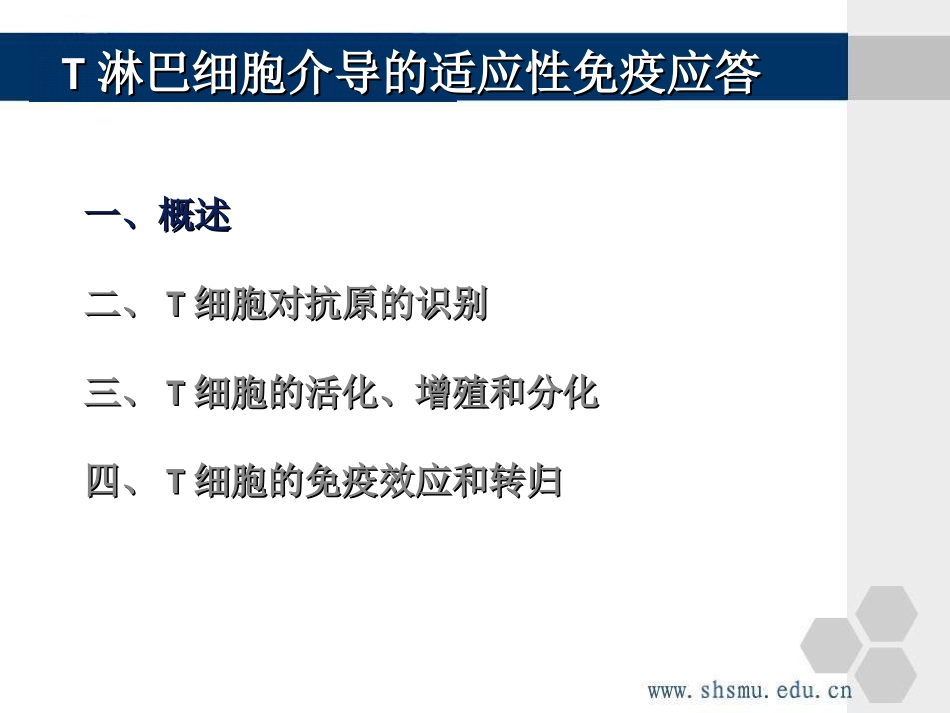 T细胞免疫应答_第3页
