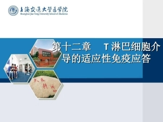 T细胞免疫应答
