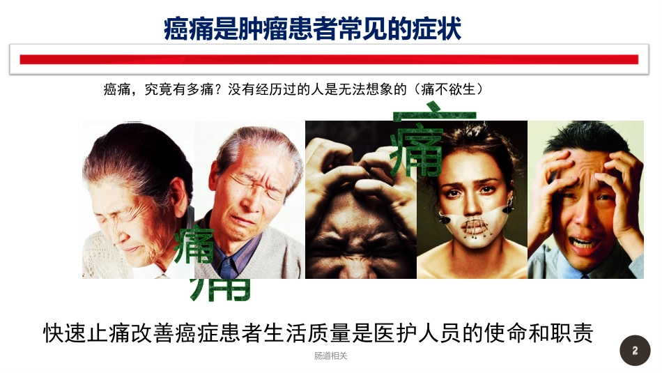 癌痛病人的护理管理治疗_第2页