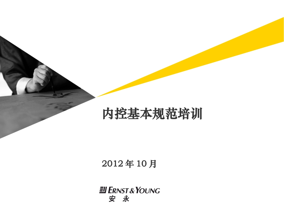 安永风控培训内部控制培训_第1页