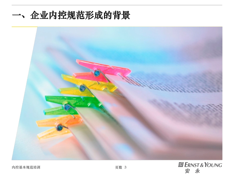 安永风控培训内部控制培训_第3页