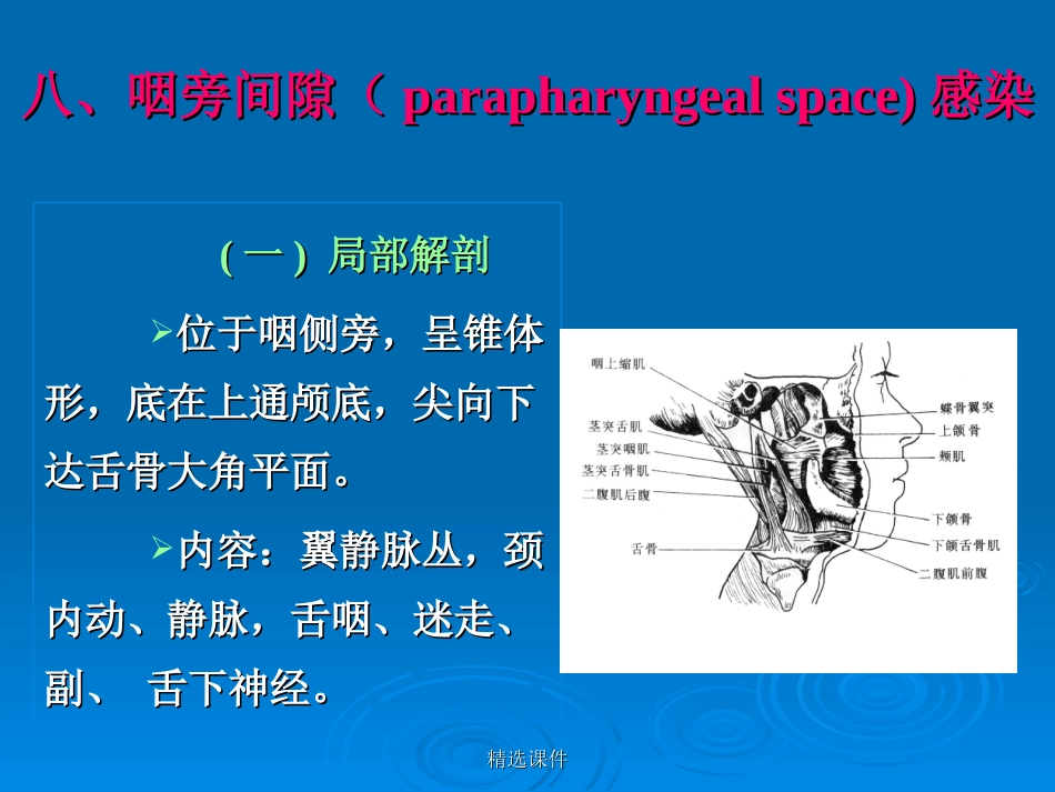 八咽旁间隙parapharyngealspace感染_第1页