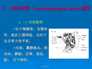 八咽旁间隙parapharyngealspace感染