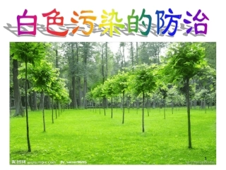 白色污染的防治最新课件