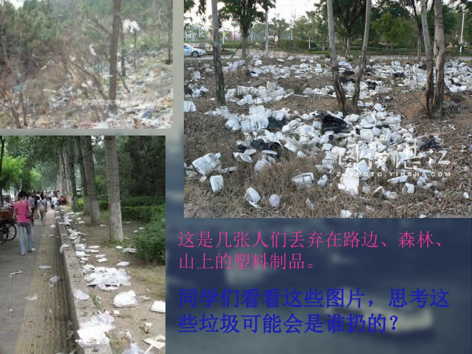 白色污染幻灯片_第2页