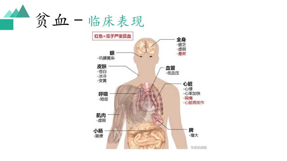 白血病临床表现_第3页