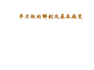半月板损伤课件