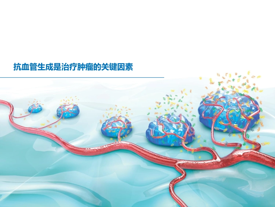 贝伐珠单抗抗血管机制讲义_第3页
