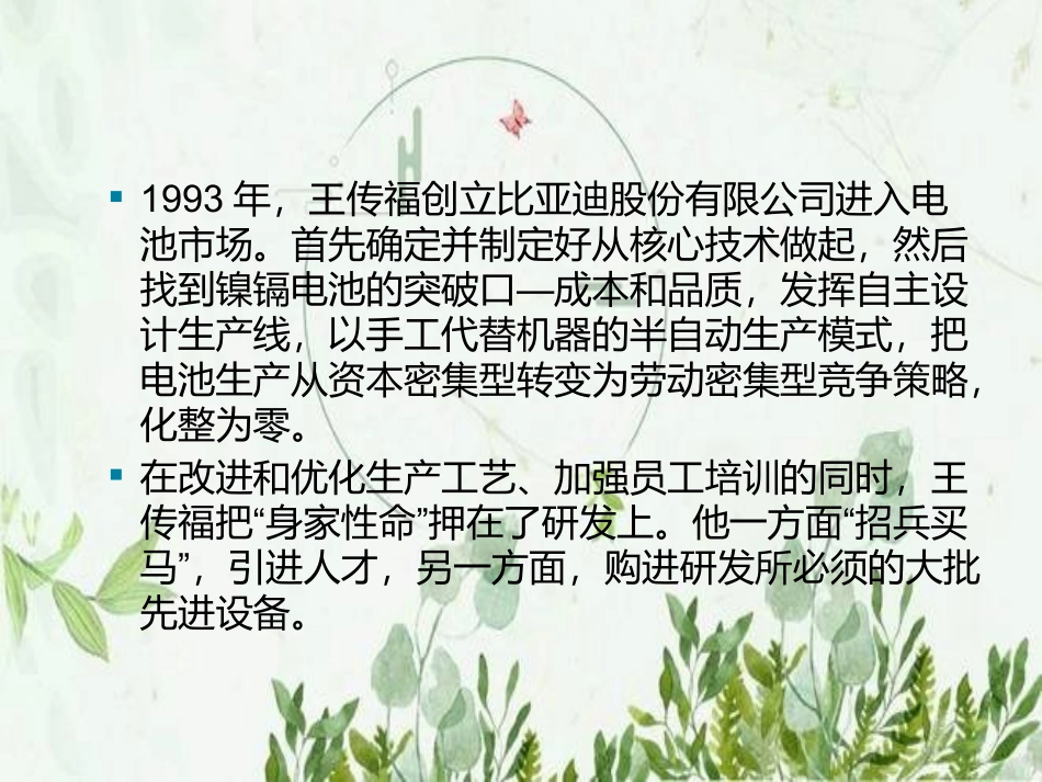 比亚迪战略规划_第2页