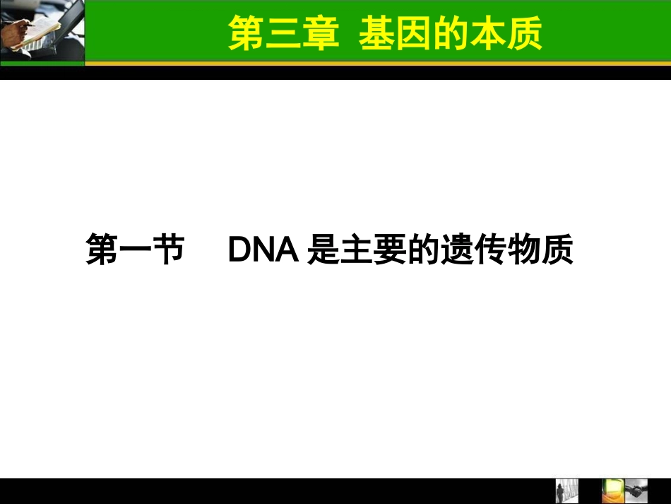 必修2复习总结-基因的本质_第3页