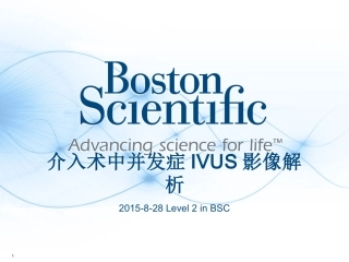 并发症的IVUS影像解析