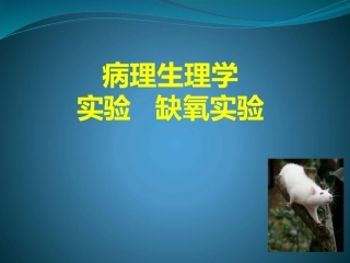 病理生理学实验缺氧陀螺