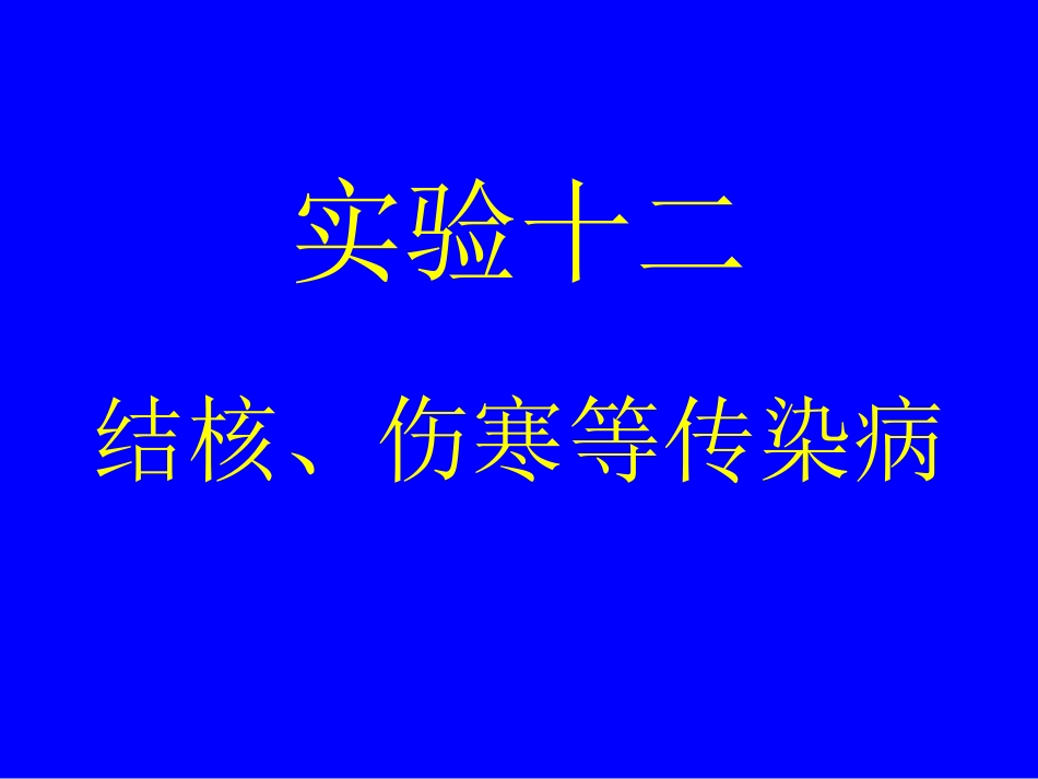 病理实验切片十二结核伤寒等传染病_第1页