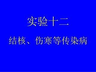 病理实验切片十二结核伤寒等传染病