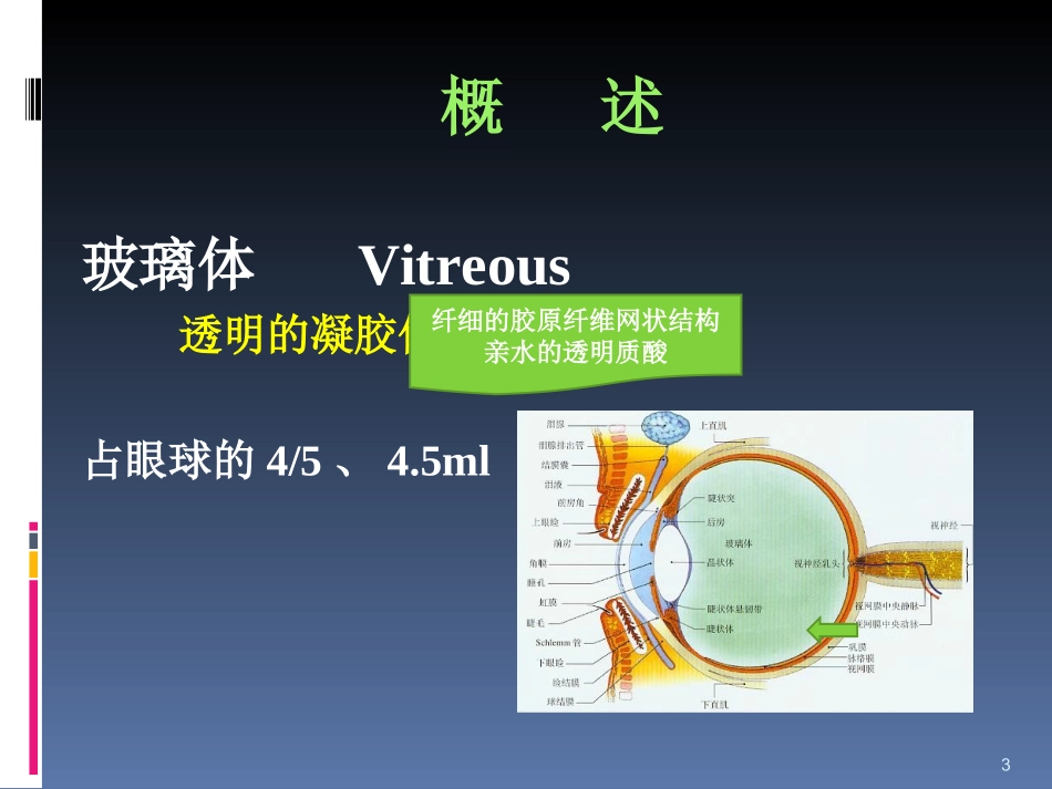 玻璃体病课件_第3页
