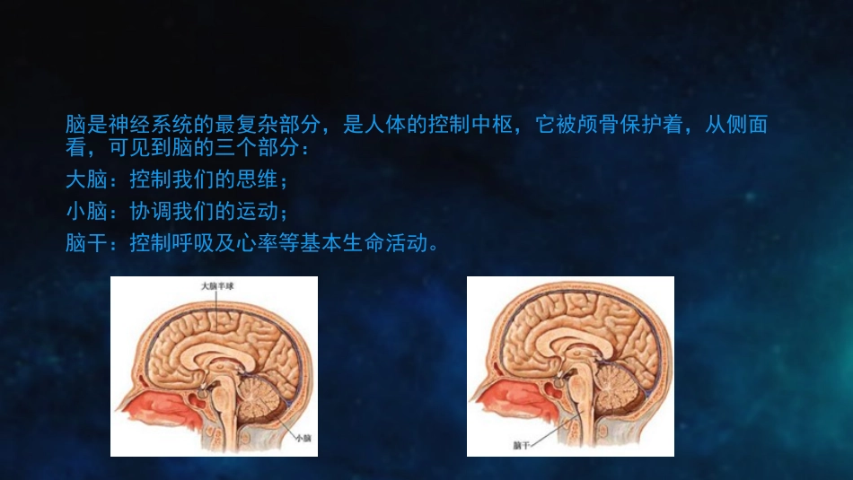 不同部位脑出血的表现_第2页