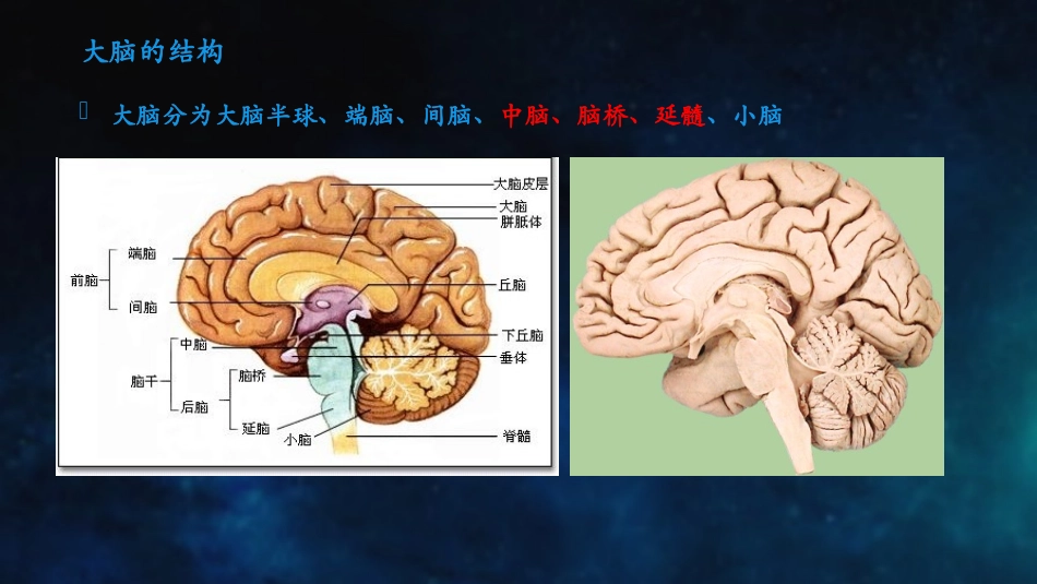 不同部位脑出血的表现_第3页
