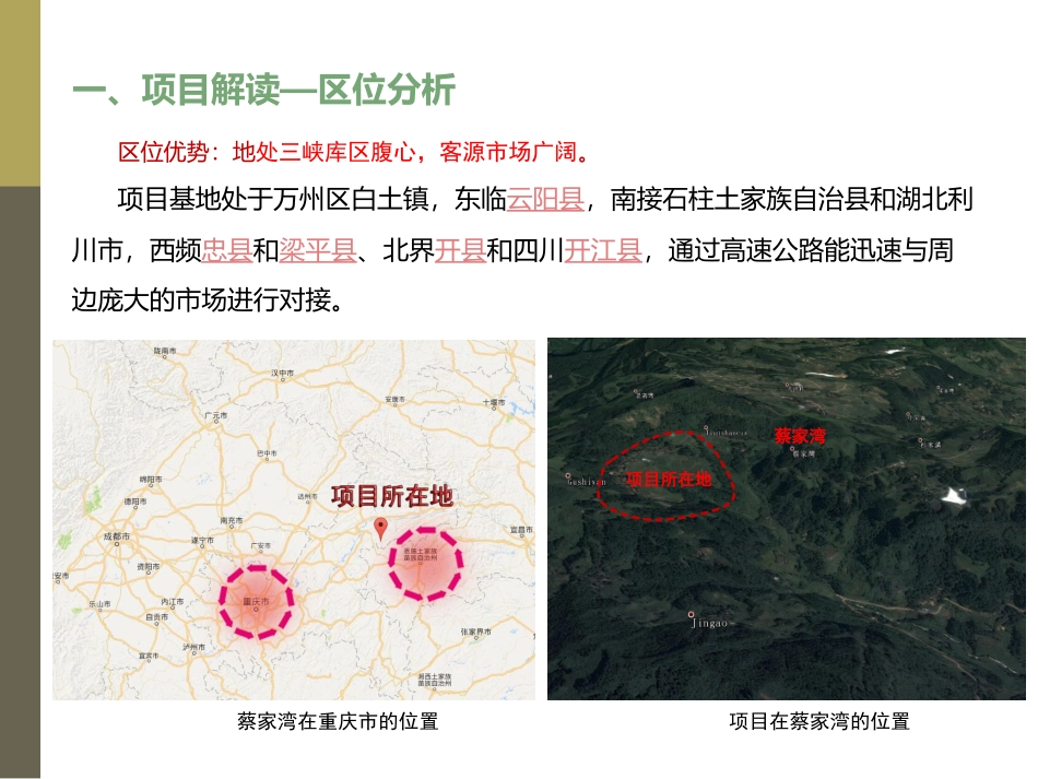 蔡家湾中草药规划_第3页