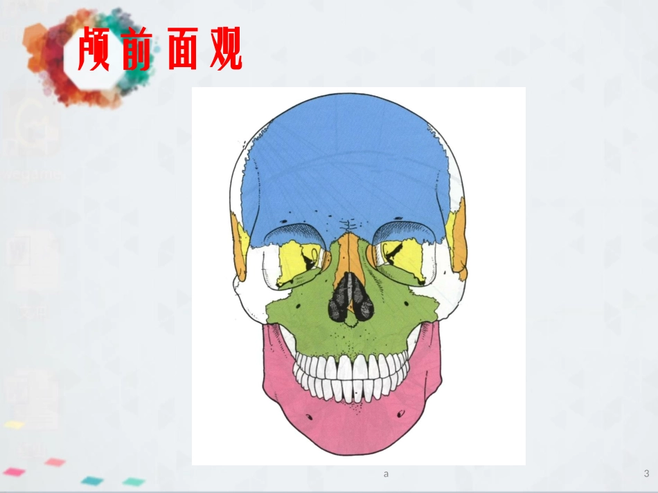 侧颅底咽的应用解剖_第3页