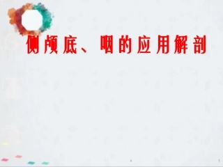 侧颅底咽的应用解剖