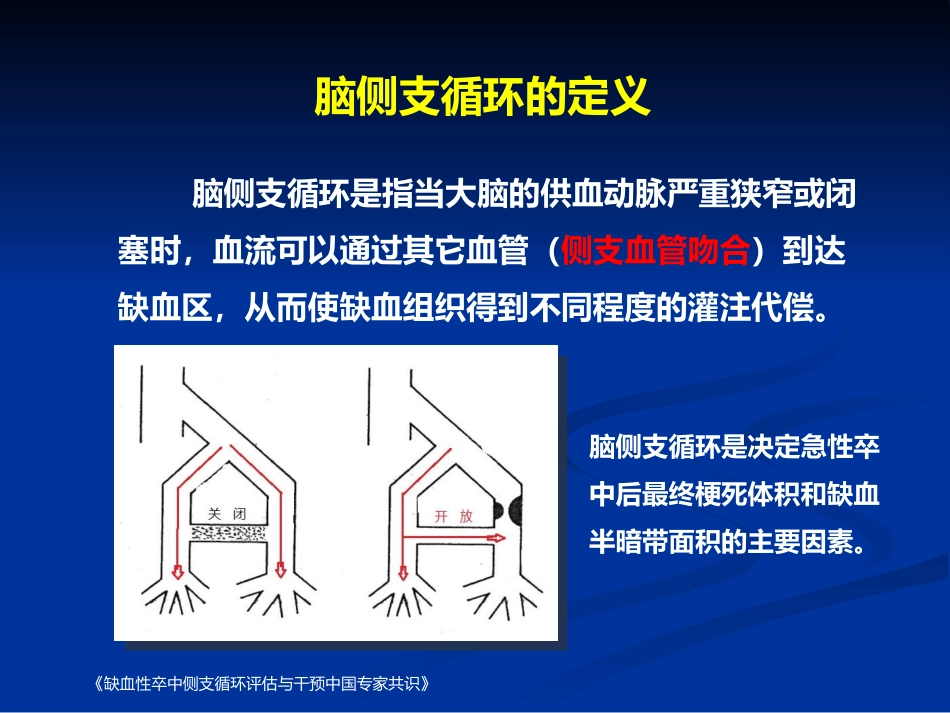 侧支循环和缺血性脑卒中_第3页