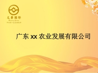 茶油商业计划书