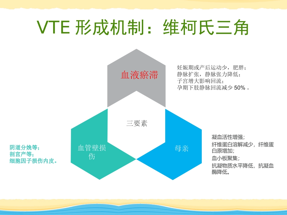 产科VTE护理查房_第2页