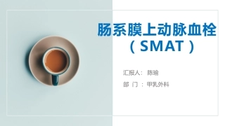 肠系膜上动脉血栓的护理课件