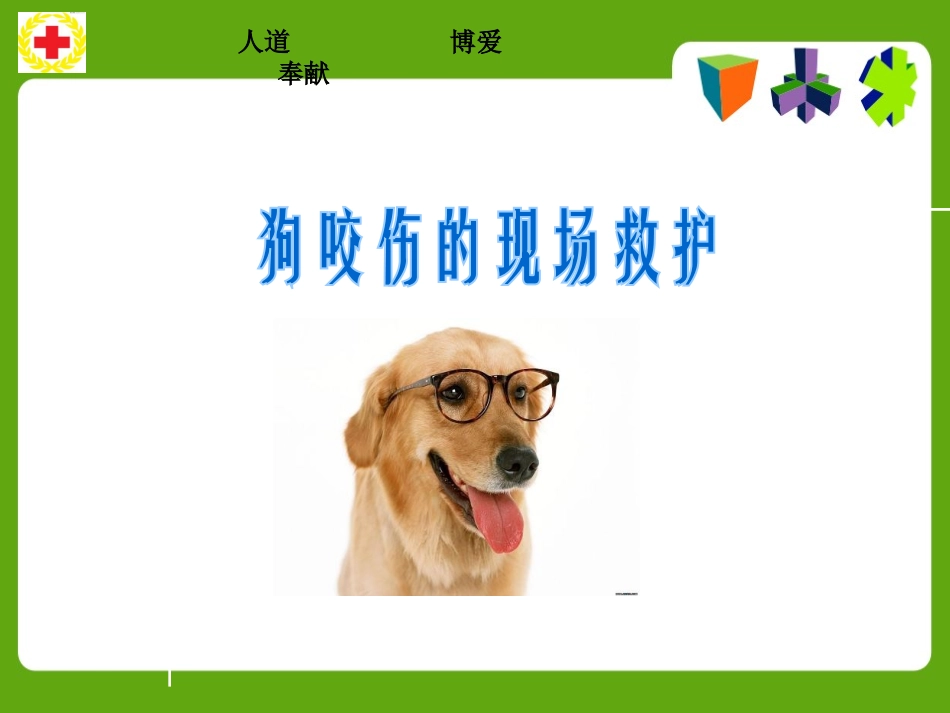常见动物昆虫咬蛰伤应急救护讲义_第2页