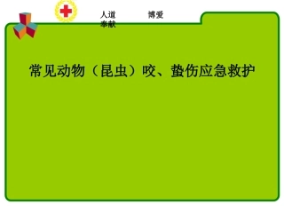 常见动物昆虫咬蛰伤应急救护讲义
