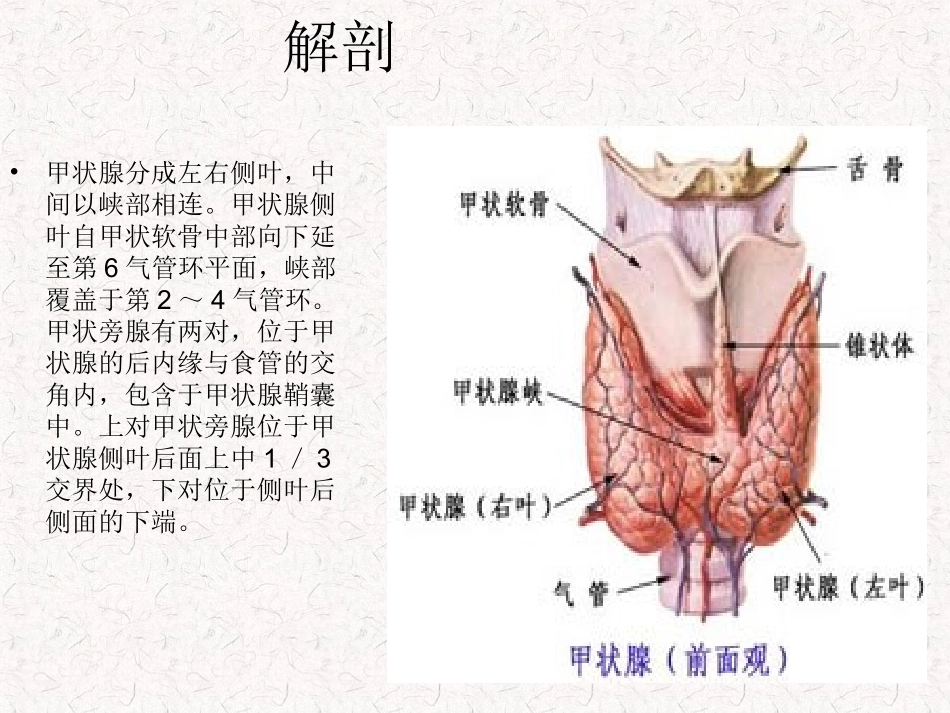 常见甲状腺疾病的CT诊疗总结_第2页