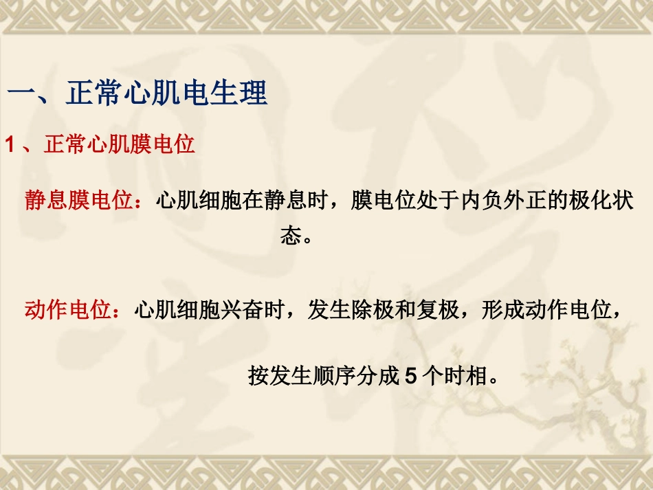常用的抗心律失常药讲义_第2页