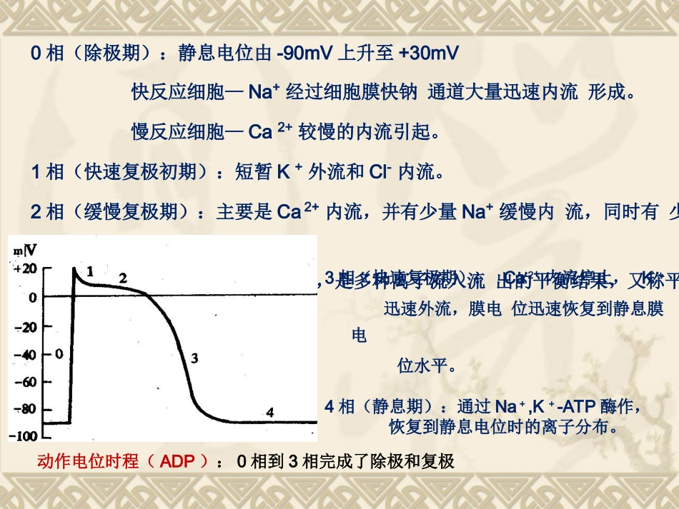 常用的抗心律失常药讲义_第3页