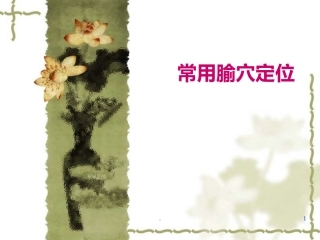 常用腧穴定位