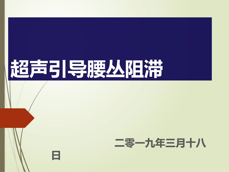 超声引导腰丛阻滞_第1页