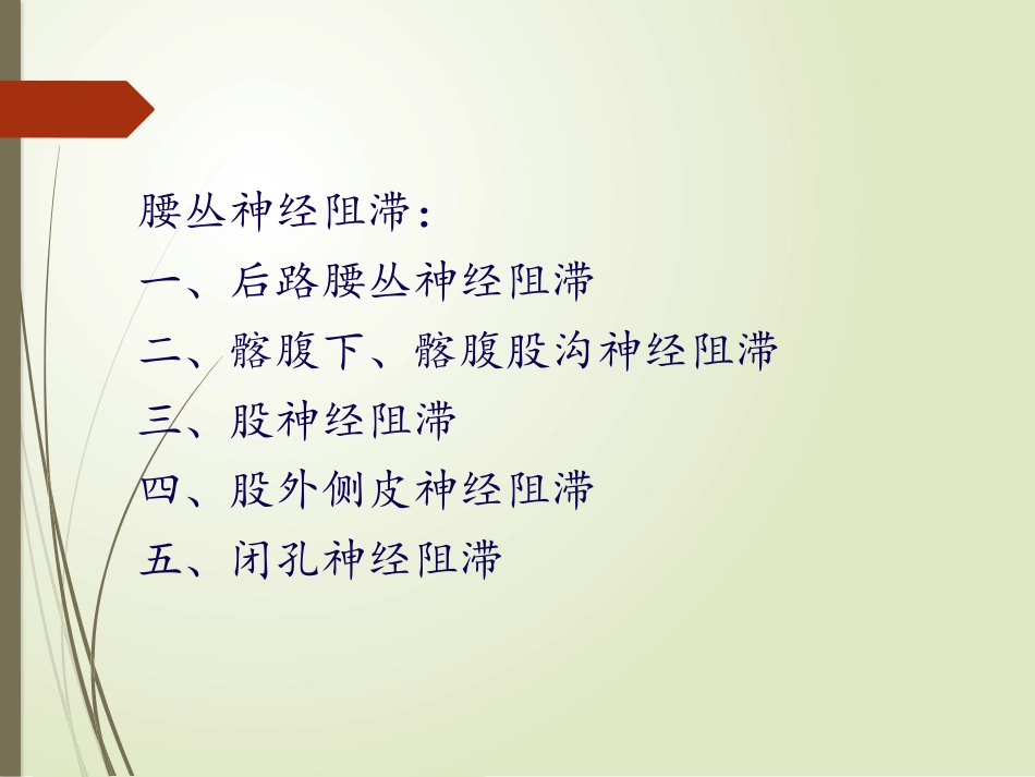 超声引导腰丛阻滞_第3页