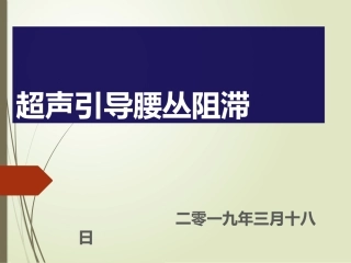 超声引导腰丛阻滞