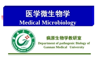虫媒病毒课件