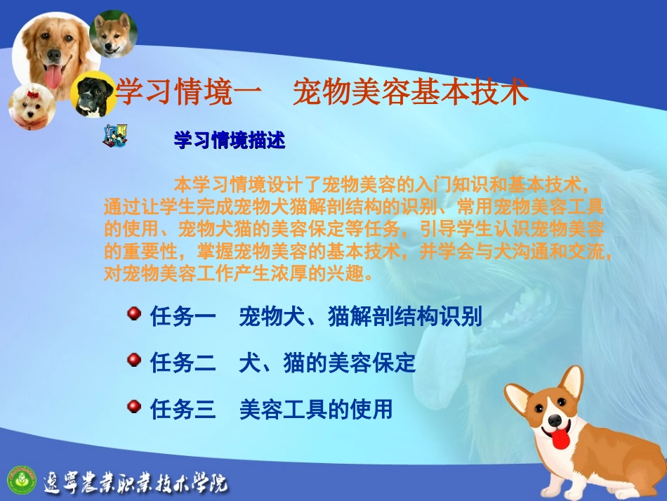 宠物美容基本技术教学培训课件_第2页