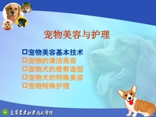 宠物美容基本技术教学培训课件
