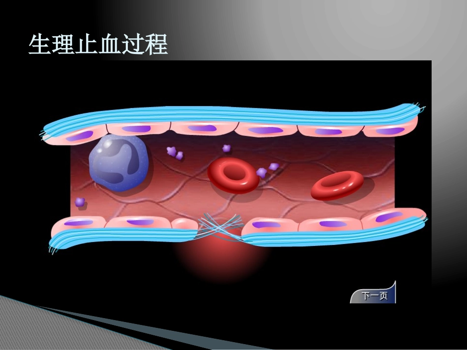 出血性疾病课件_第3页