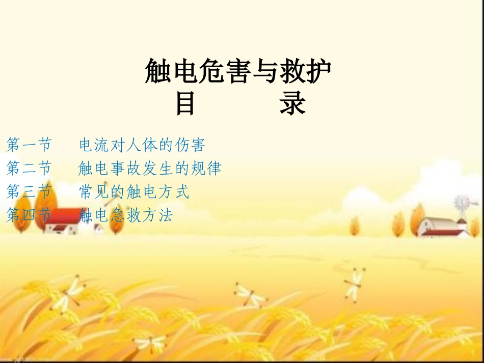 触电危害及救护课件_第2页
