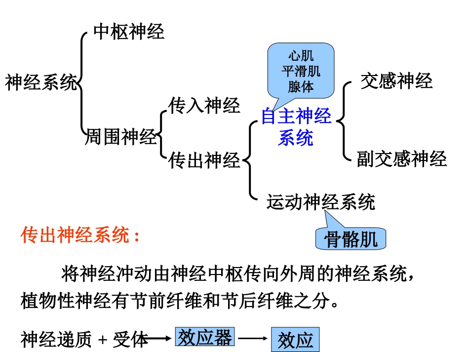 传出神经系统药理概论_第2页