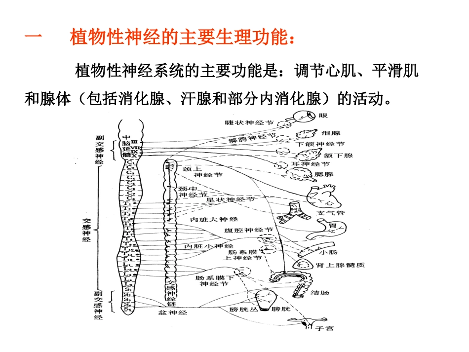 传出神经系统药理概论_第3页