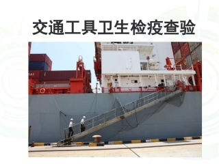 船舶卫生检疫