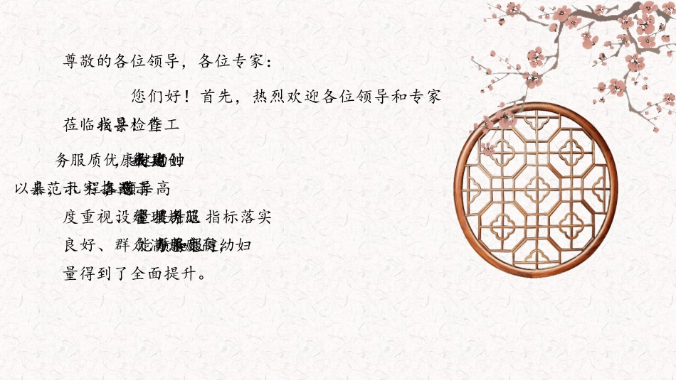 创妇幼健康优质服务示范县工作汇报_第2页