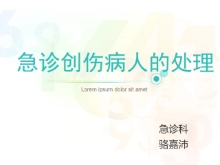 创伤评估救治急诊骆嘉沛