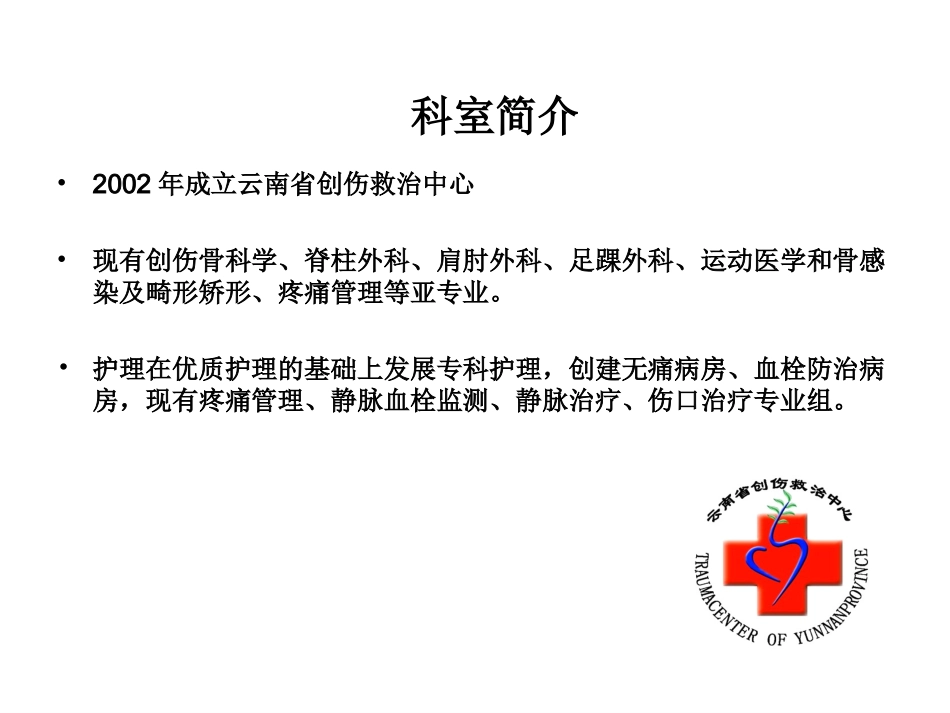 创伤无痛病房创建和评价模板_第2页